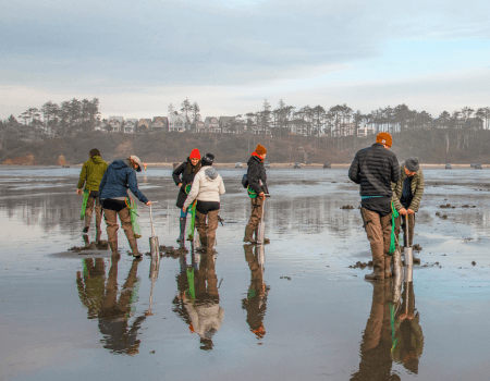 Razor Clam Digging