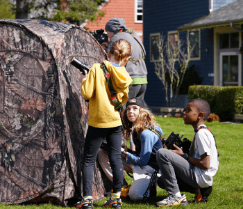 Springfest in Seabrook